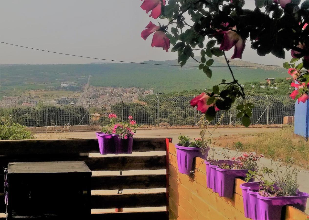 Si-Har Chalets نمرود المظهر الخارجي الصورة